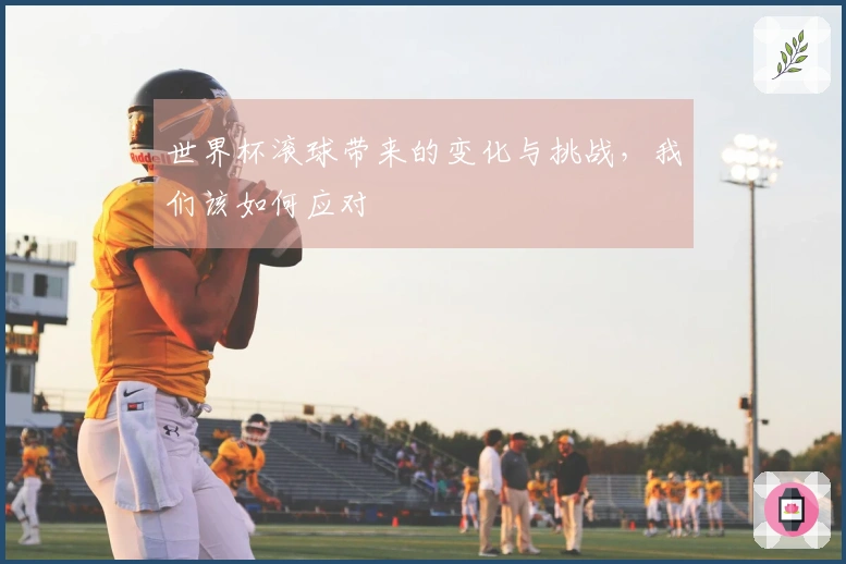 世界杯滚球带来的变化与挑战，我们该如何应对