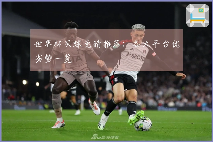 世界杯买球竞猜推荐：各大平台优劣势一览