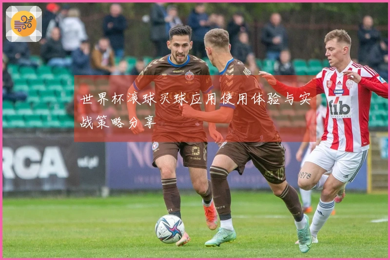 世界杯滚球买球应用使用体验与实战策略分享