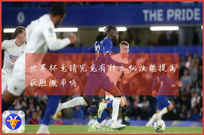 世界杯竞猜究竟有什么秘诀能提高获胜概率吗