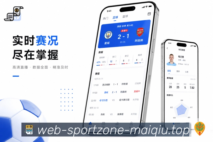 <strong>买球站</strong>栏目回看整理预览